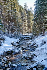 Fototapeta na wymiar Koscieliski Stream in winter, Koscieliska Valley, Tatra Mountains, Poland