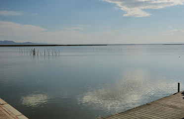 Naklejka premium Reeds on the lake on a sunset in summer