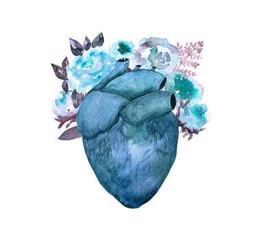 Anatomical human heart with flowers. Watercolor hand drawn illustration.Design for label, card, book, tattoo, logo