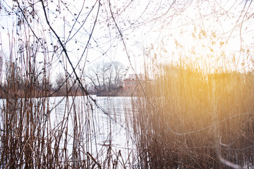 Beautiful winds view with the rays of the sun by the lake. Reeds, water, house, walk.