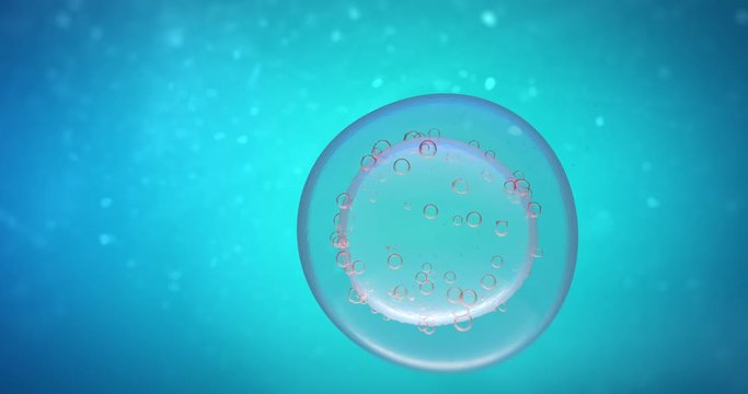 Injection of a substance into a cell in an organism under a microscope. Ovum, a human egg cell, artificial insemination.