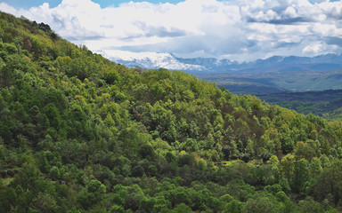 Fototapeta na wymiar Natural views of the Sierra de Francia