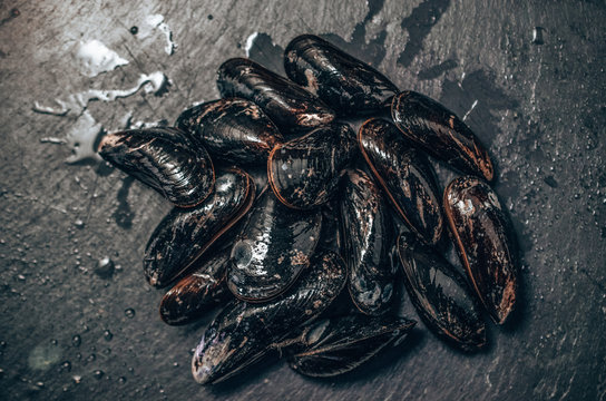 Raw mussels on dark stone, seafood