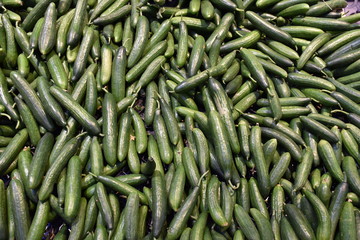 Fresh cucumbers on market stall