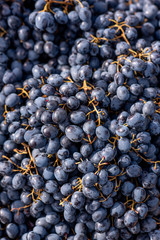 Dark grapes on the market