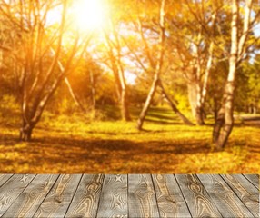 Autumn.