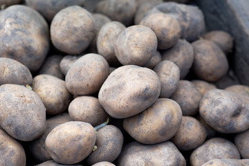Fototapeta na wymiar Potatoes at the market by day