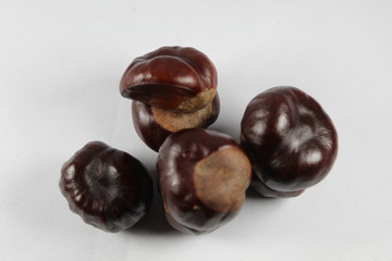 chestnuts isolated on white background
