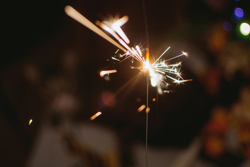 Christmas and New Year party sparkler