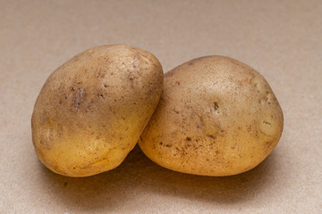 two raw dirty potatoes on a craft color background