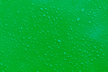 Water Drops on Green Background