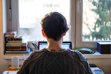 Back of young caucasian entrepreneur woman in sweater sitting and working online from home on computer laptop