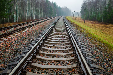 railway rails and sleepers along the forest
