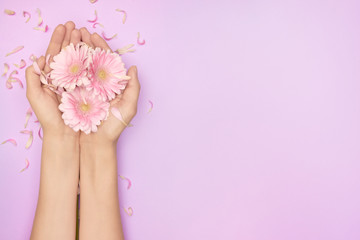 Fototapeta na wymiar Closeup womans hand with a bright pink gerbera flowers on a purple backround with copy space. Womens health concept. Concept of an advertisment of cosmetic product or skin care.
