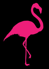 Crimson flamingo, flamingo, bird, nature, animal