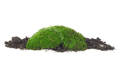 Green moss and pile dirt isolated on a white background, with clipping path.