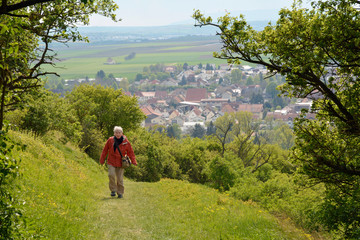 wandern auf dem petersberg bei gau-odernheim