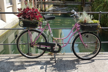 Fototapeta na wymiar Fahrrad mit Blumenschmuck