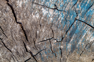 Old Weathered Cracked Brownish Wood Texture