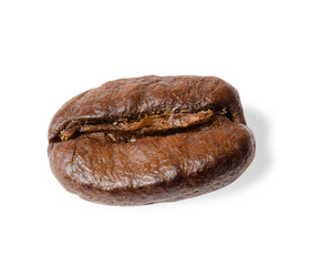 coffee bean