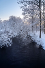 Fototapeta premium Cold frosty morning over River Gauja with snow covered trees.