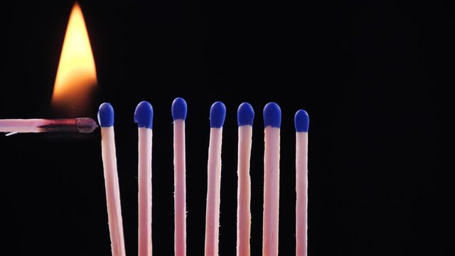 Spreading epidemics mechanism. The matches are fired from each other. Concept: stop epidemic, domino effect, Coronavirus outbreak, COVID-19, isolated burning matches, stand out