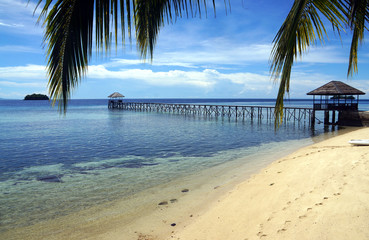 Fototapeta na wymiar beach of island in togian islands in Indonesia