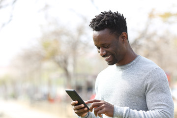 Fototapeta premium Happy black man using smart phone in a park