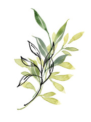 Beautiful watercolor pre-made arrangements with fresh greenery. Leaves, branches, berries, eucalyptus. Hand painted illustration. perfect for invitation cards, spring decor, wedding invitation, menu, 