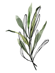 Beautiful watercolor pre-made arrangements with fresh greenery. Leaves, branches, berries, eucalyptus. Hand painted illustration. perfect for invitation cards, spring decor, wedding invitation, menu, 