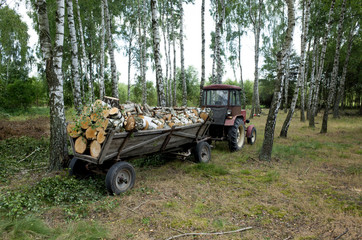 Trailer of firewood being pulled by small utility tractor. Zawady Central Poland