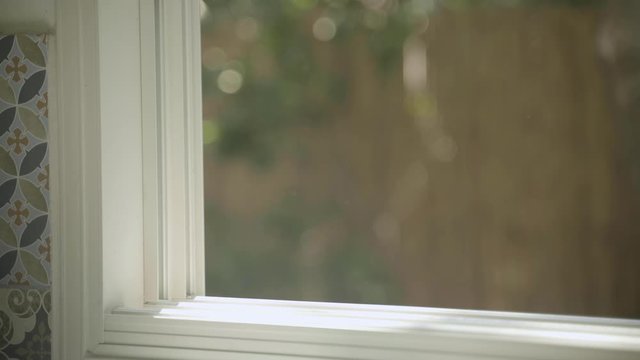 Opening a window to the outside world - close up