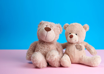 two teddy beige bears sitting huddled together