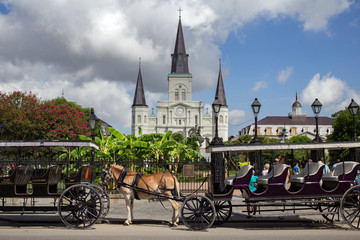 ew Orleans, horse carriage and church