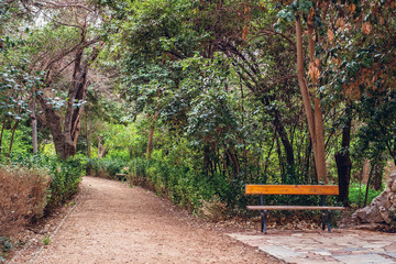 Fototapeta na wymiar The National Garden is a public park in Athens city
