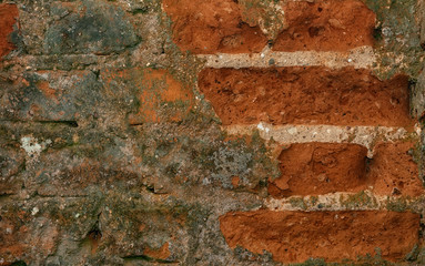 Brick wall, old masonry, half wall moss