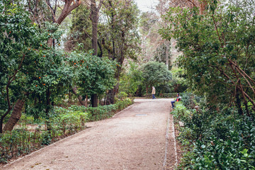 Fototapeta premium The National Garden is a public park in Athens city