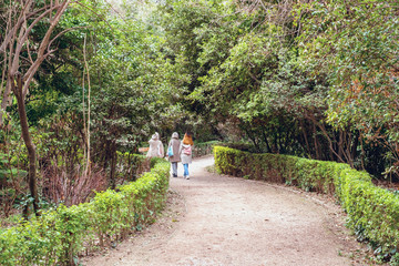 Fototapeta premium The National Garden is a public park in Athens city