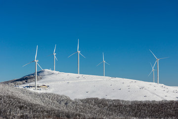 Frozen wind turbines
