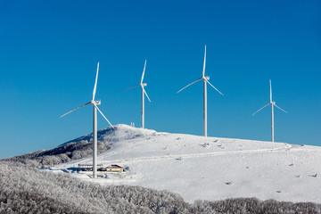 Frozen wind turbines © Dimitar Marinov