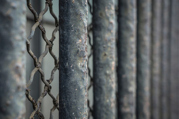  Iron bars for window protection.