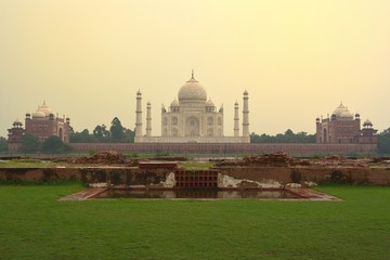 Fototapeta na wymiar View of Taj Mahal from Mehtab Bagh - Agra, India