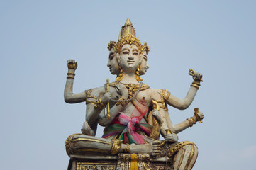 close up Brahma with sky background