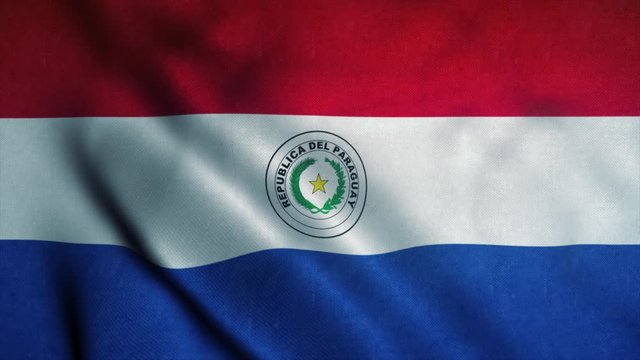 Paraguay flag waving in the wind. National flag of Paraguay. Sign of Paraguay seamless loop animation. 4K