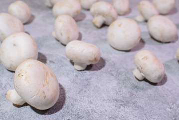Fresh champignons. Healthy and tasty food.