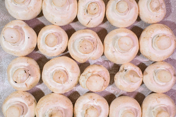 Fresh champignons. Healthy and tasty food.