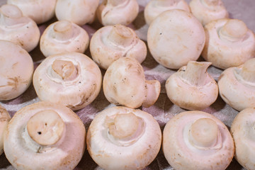 Fresh champignons. Healthy and tasty food.