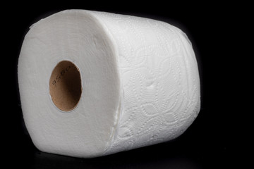Toilet paper 2-ply isolated on a studio background 