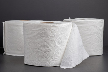 Toilet paper 2-ply isolated on a studio background 