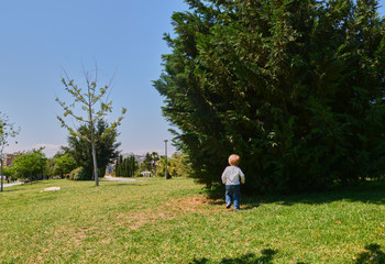 Blond boy playing in the park on a sunny day
